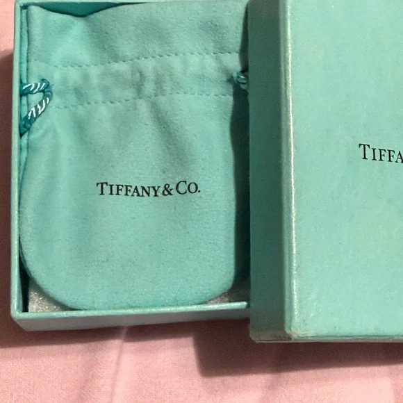 Tiffany & Co. Aqua Jewelry Pouch - Picture 3 of 3
